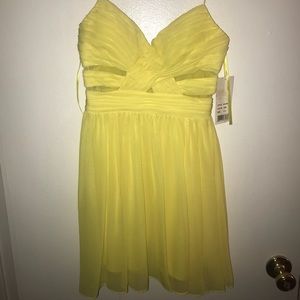 Adriana Papell dress